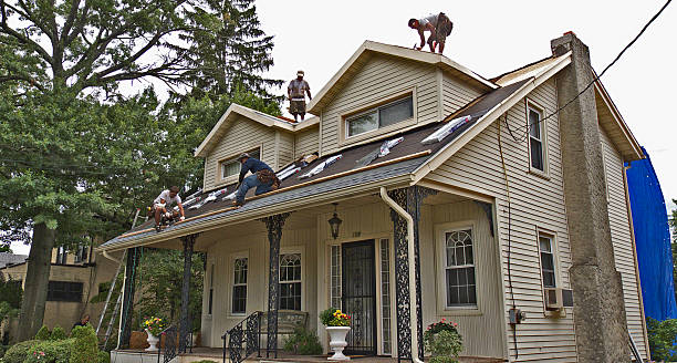 Best Roof Gutter Cleaning  in Mililani Town, HI